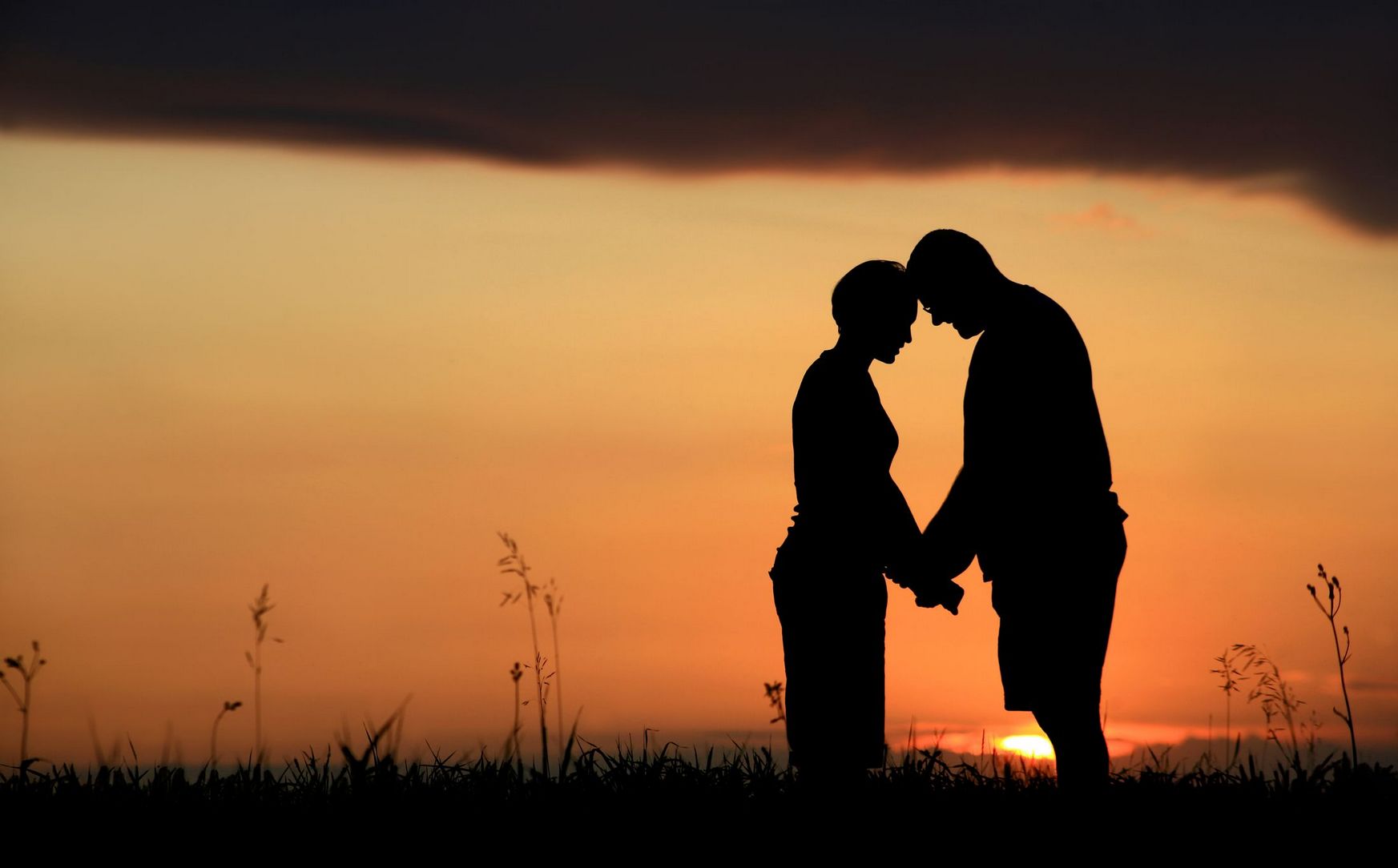 MySpecialDates Evaluation: Locate Your Soulmate Online