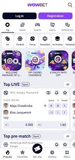 wowbet поддержка 2
