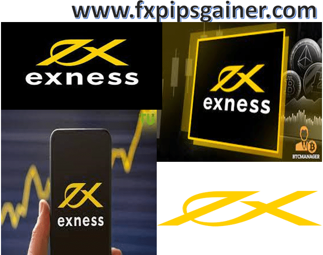 Unlocking Trading Potential with Exness Web Platform